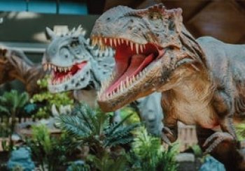 Dino Kids Experience Madrid