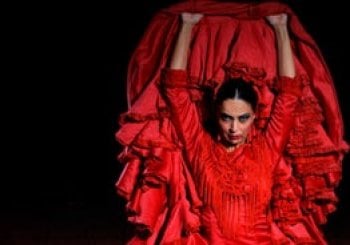 Pasión: El espectáculo flamenco más visto de Sevilla