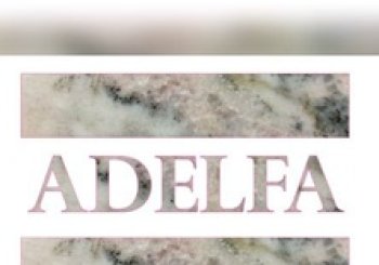Adelfa en Mérida