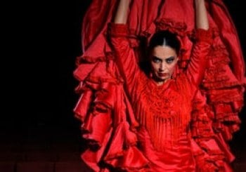 Sensaciones: Emociones: El espectáculo flamenco más visto de Granada