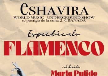 ESPECTÁCULO FLAMENCO en Granada