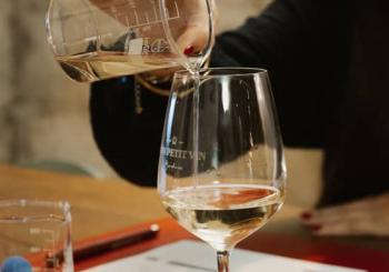 Atelier de création de vin blanc à Bordeaux