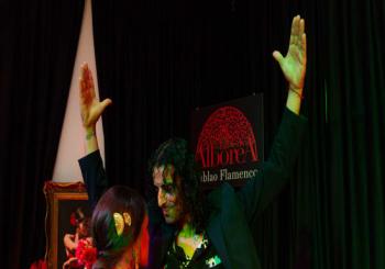 Tablao Flamenco La Alboreá: Espectáculo de Flamenco Granada