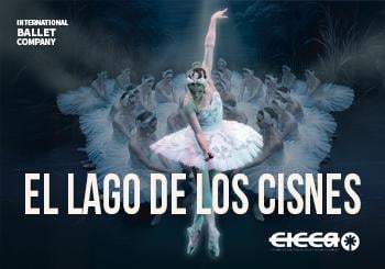 El Lago De Los Cisnes en Gran Canaria