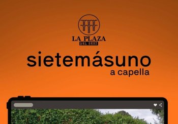 SIETE MAS UNO - LA PLAZA DEL SEXI en Granada