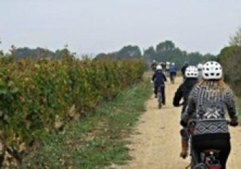 Visita Bodega y cata + ruta bici GUARDIOLA DE FONT-RUBÍ