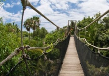 Jungle Park a Arona