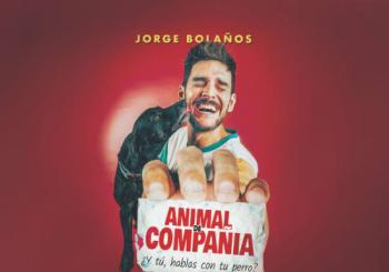 Animal de Compañía A Coruña