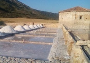 Tesoros de Sal Guadalajara SAELICES DE LA SAL