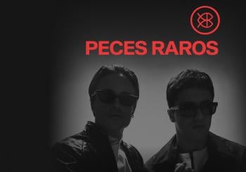 Peces Raros en Monterrey