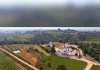 Visita bodega, curso cata y comida GUARDIOLA DE FONT-RUBÍ