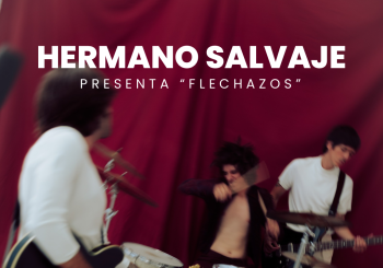 HERMANO SALVAJE EN BILBAO (SALA AZKENA) en Bizkaia