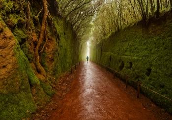 Descubre Anaga - Tenerife