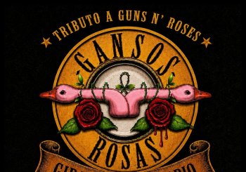Gansos Rosas en Zaragoza