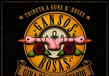 GANSOS ROSAS EN BURGOS