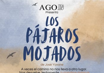 Los pájaros mojados Madrid