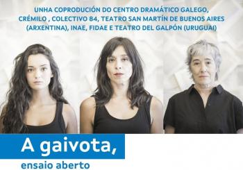 A GAIVOTA. ENSAIO ABERTO Santiago de Compostela