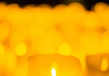 Candlelight: The Best of Joe Hisaishi en Melbourne