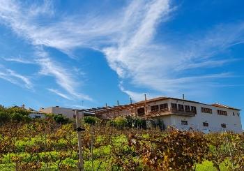 Excursiones Privadas Teide + Wine Tour en Tenerife