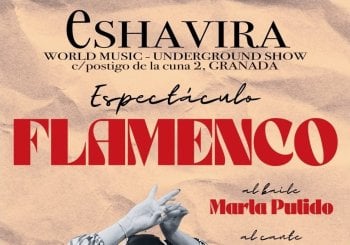 ESPECTÁCULO FLAMENCO Granada