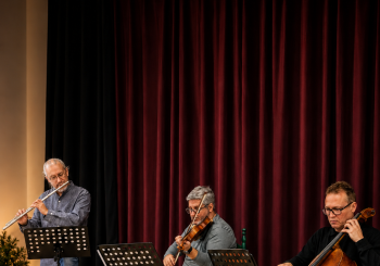 Mozart para Bebés. Trío de Música de Cámara Madrid