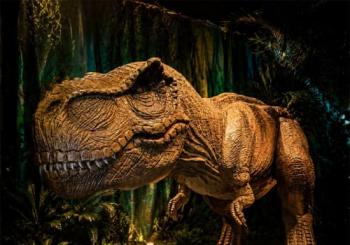 Mundo dos Dinossauros: A Expedição Jurássica Goiânia