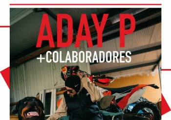 ADAY P + colaboradores en Santa Cruz de Tenerife