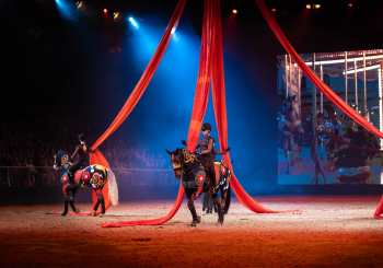 Nacht der Pferde - Die Pferde-Gala der Extraklasse! - SAMSTAG en Hannover