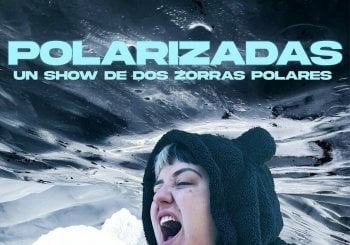 Polarizadas en Zaragoza