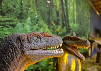 Viven Dinosaurios San Luis