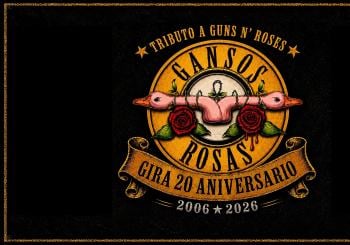 Gansos Rosas en Pamplona/Iruña