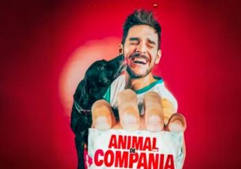 Animal de Compañía Alcañiz