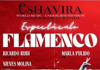 ESPECTÁCULO FLAMENCO en Granada