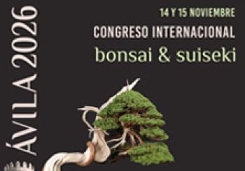 Congreso Internacional de Bonsái-Suiseki Ávila