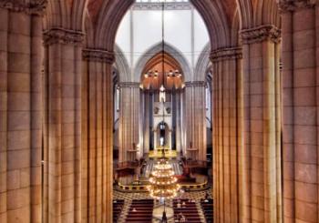 Tour completo pela Catedral da Sé - Visita guiada São Paulo