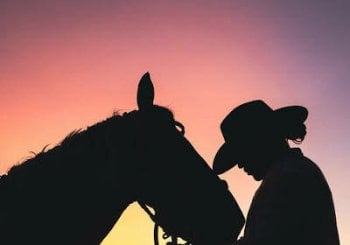 ATARDECER LLANERO en Madrid