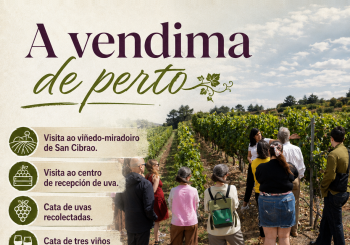 A VENDIMA de perto en Ourense