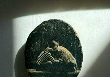 TALLER DE FOTOTRANSFER CON CAROLA ETCHE - 19 de septiembre 2026 Madrid