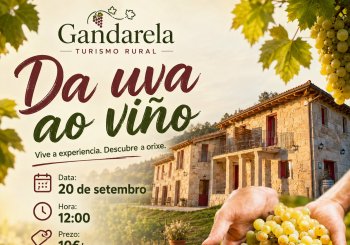 Da uva ao viño Ourense