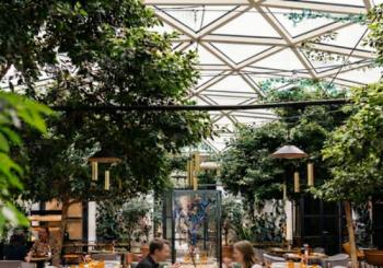 Madrid en Nueve Pases | Café de la Plaza