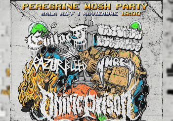 Peregrine Mosh Party Granada
