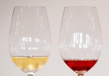 Curso Descobrir o Vinho - Cascais