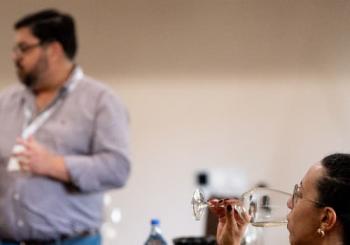 Curso Descobrir o Vinho - Torres Vedras Lisbon