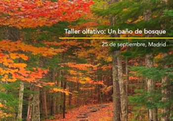 Taller presencial 