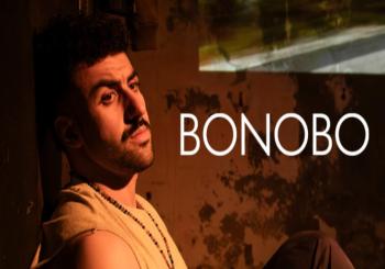 Bonobo 2.0 - RBLS en Barcelona