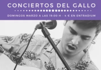 Concierto del Gallo: Javi Patón. En Sevilla