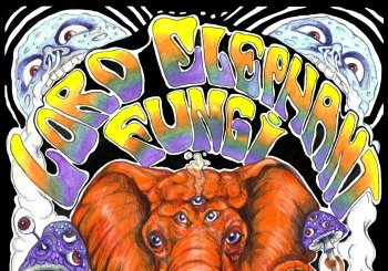 Lord Elephant + Fungi en Madrid