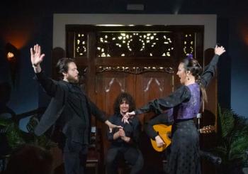 Espectáculo de flamenco íntimo en el corazón de Triana Sevilla