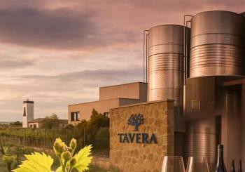 Bodega Tavera: Visita Toledo