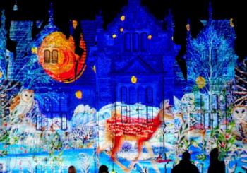 Glow Wild at Kew Wakehurst, Sussex Brighton